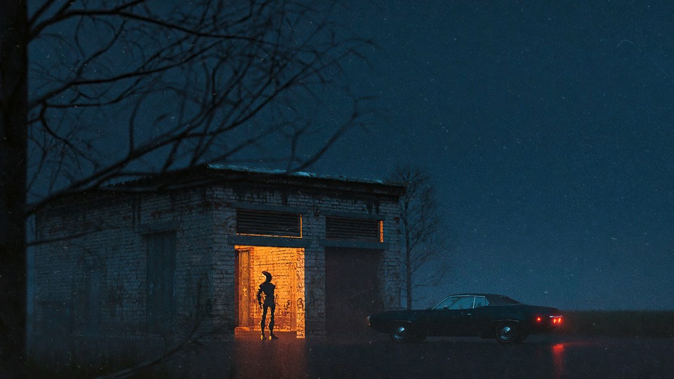 विदेशी वेव शाम सवारी 4कश्मीर