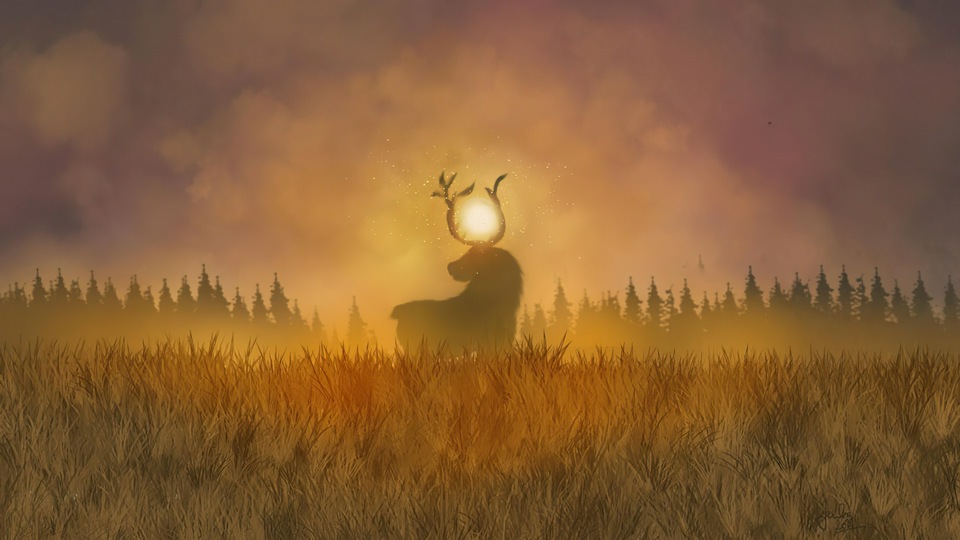 फील्ड सैंडडर