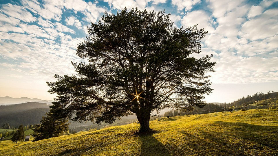 रोमानिया स्काई लाइट