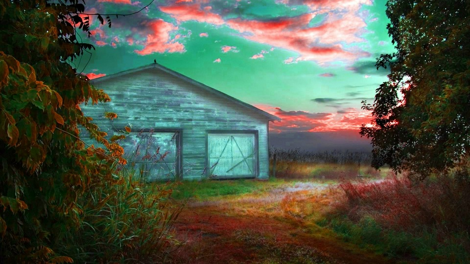 खेत खलिहान