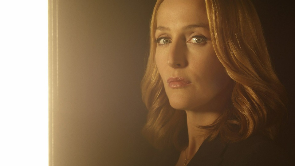 एक्स फाइलें