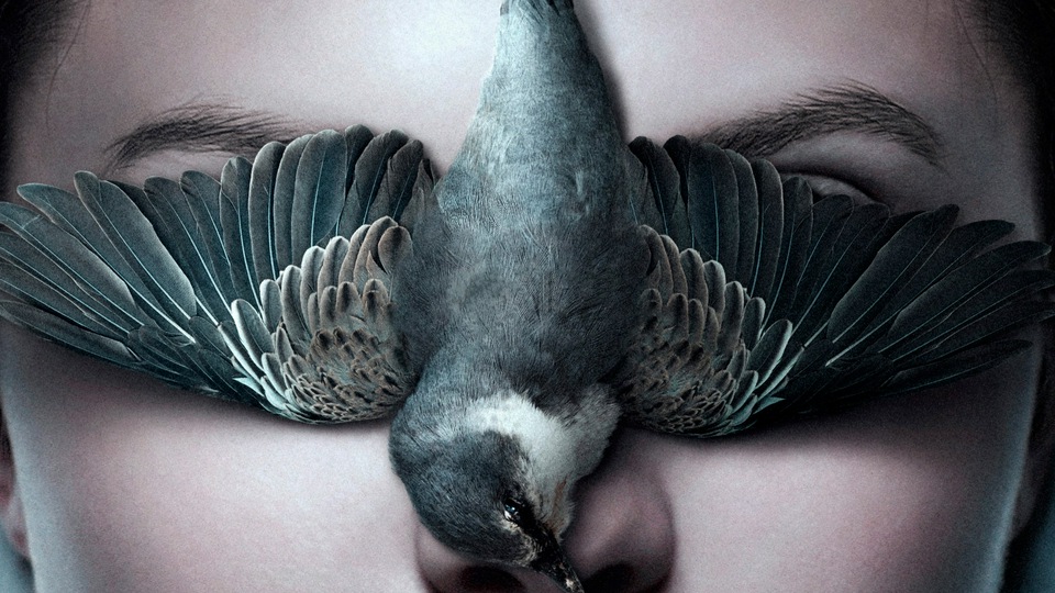 थेल्मा 2017 4के