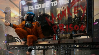 जेल से बाहर बंदर 5कश्मीर