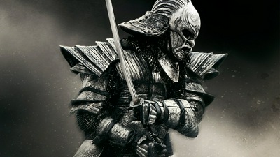 रोनिन में योद्धा